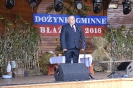 DOŻYNKI GMINNE-