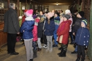 Stadnina koni BOSKA DOLINA - jazda konna 