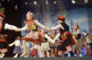Koncert karnawałowy – grupy artystyczne GOK - 30.01.2022r.
