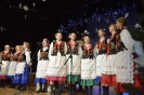 Koncert karnawałowy – grupy artystyczne GOK - 30.01.2022r.