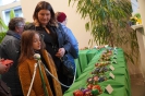 XXXVI edycja konkursu 